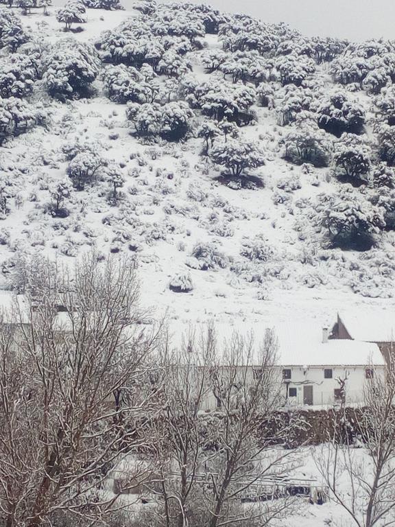 Casa Rural El Cortijo Nuevo, En El Cerezo Exterior foto